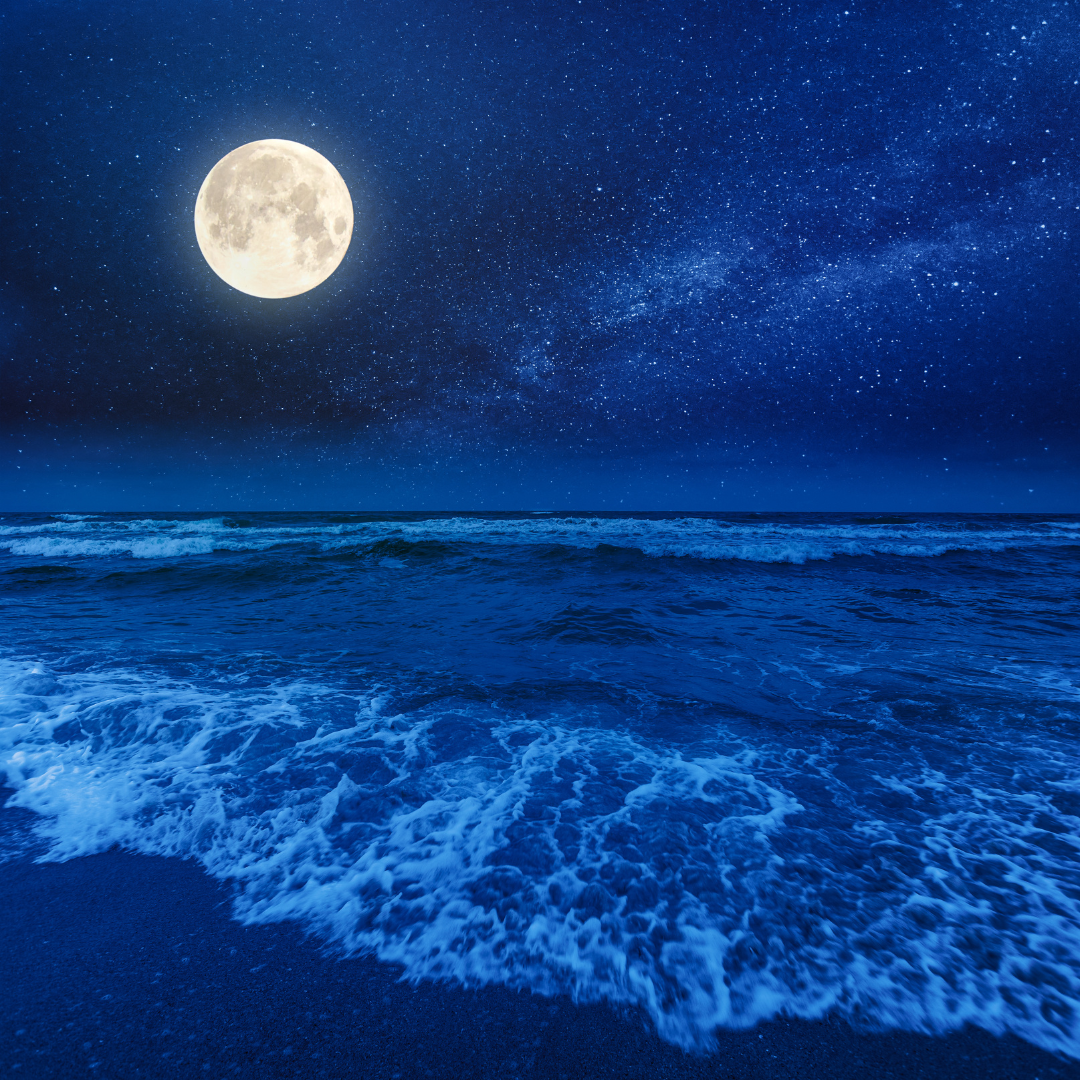 Moonlit Beach Escapes: Embracing the Nocturnal Majesty of the Coast