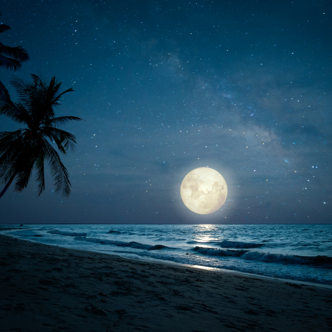 The Island Night Sky: A Stargazer’s Paradise
